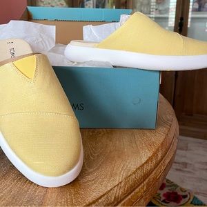 Shoes TOMS new in box, never worn.